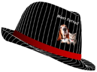 a most patted hat